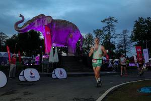 BIB: 
                            <button type="button" onclick="openModal(26529723)" class="btn btn-primary btn-sm float-right btn-popup" data-toggle="modal" data-target=".modal-high-quality">
                        <i class="fas fa-shopping-cart"></i> Add to Cart
                    </button>
                                            <button type="button" onclick="isThisMe(26529723, true)" class="btn btn-success btn-sm float-right btn-popup btn-isme hidden" data-toggle="tooltip" data-placement="bottom" title="นี่คือรูปของคุณใช่ไหม คลิกที่นี่เพื่อเอาเข้าอัลบั้ม">
                        <i class="fas fa-plus"></i> Add to album
                    </button>
                    <button type="button" onclick="isThisMe(26529723, false)" class="btn btn-warning btn-sm float-right btn-popup btn-isnotme hidden">
                        <i class="fas fa-ban"></i> Remove from album
                    </button>